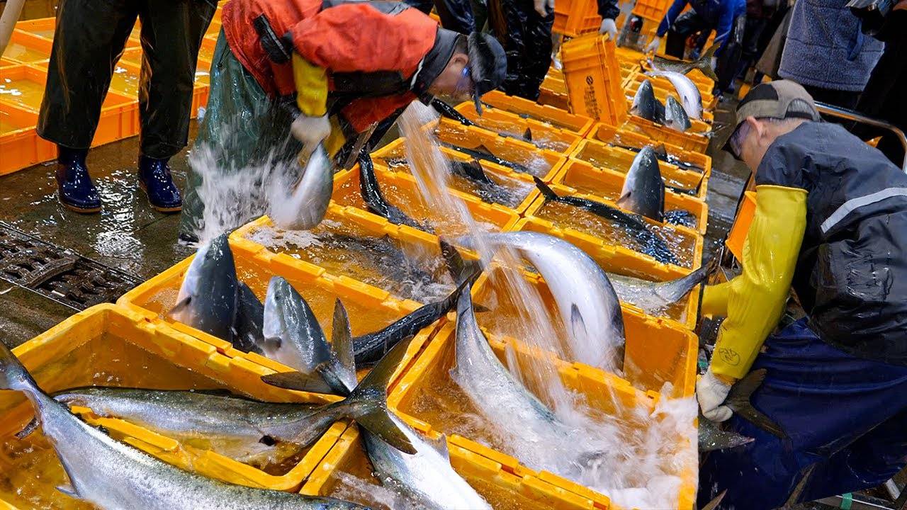 Лучший рынок морепродуктов в Корее (Норянджине) смотреть онлайн