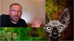 Сводки с фронтОв с Котом Костяном от 25.08.25