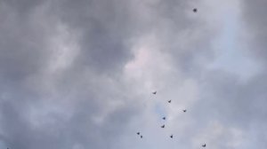 Гоняем молодняк 2025 года. Олег Костяков, т. 89276513003