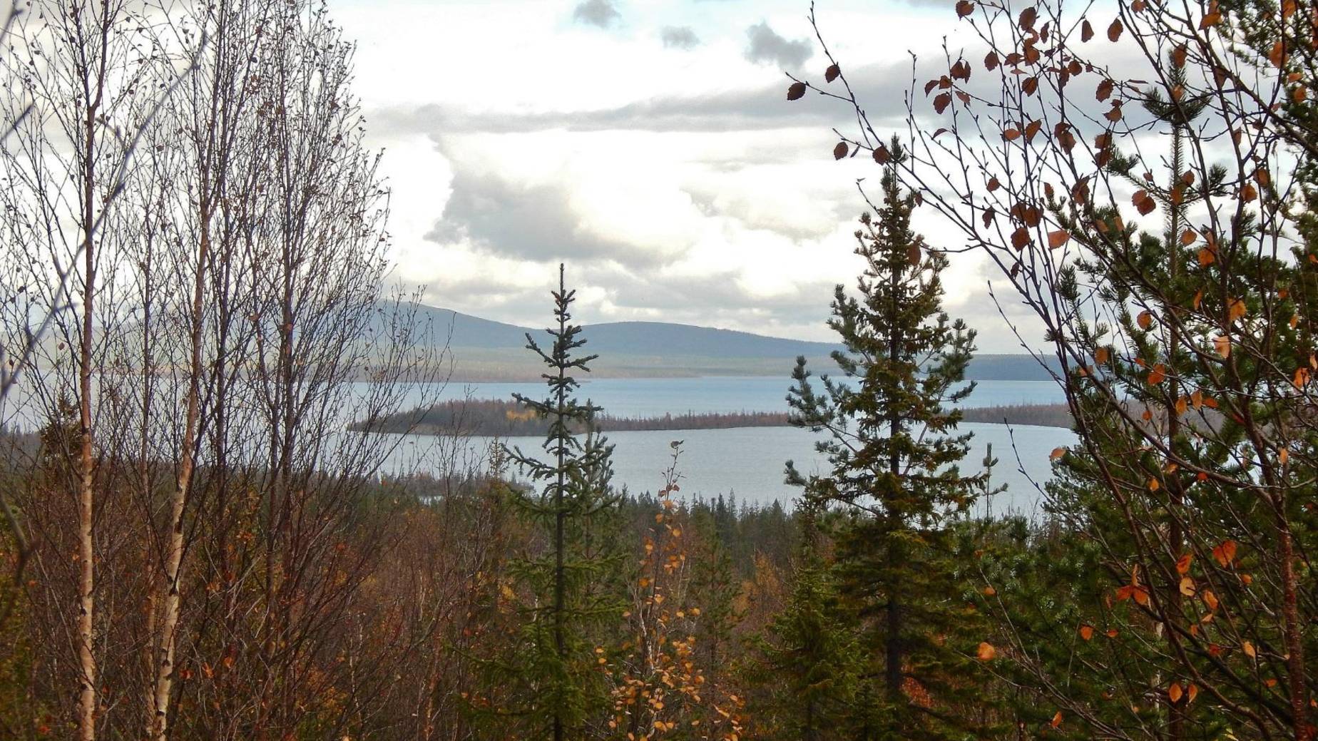 Архив. Сборный за 2020 год. Север. Не коротко. смотреть онлайн