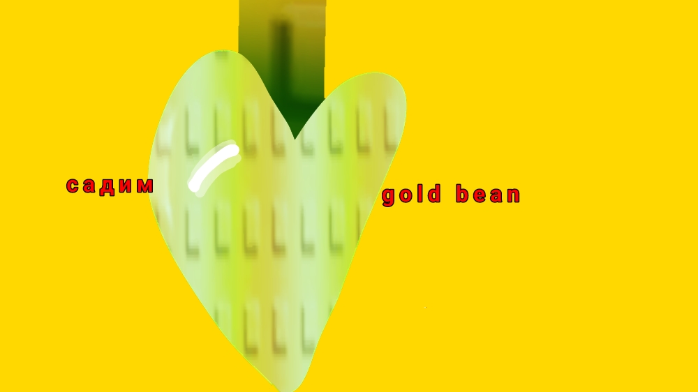 садим золотой горох