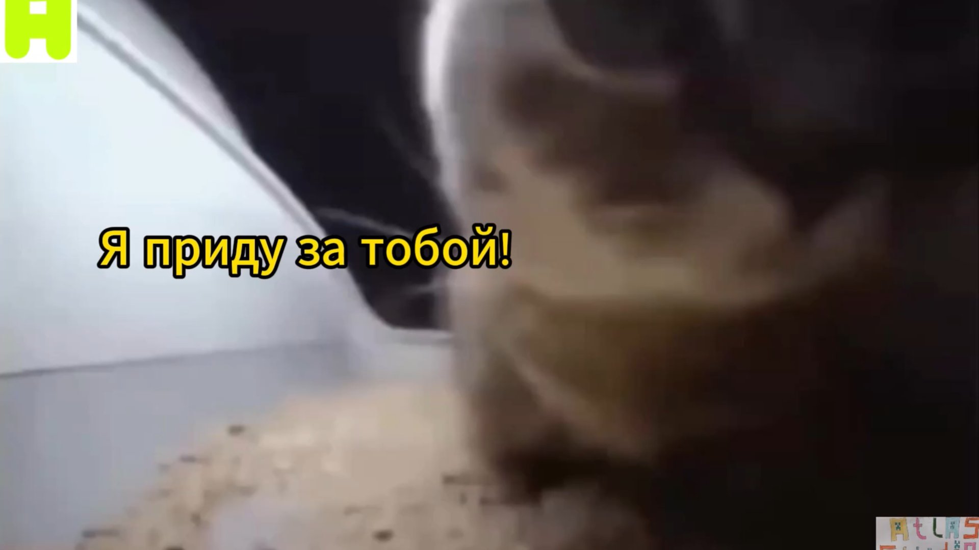 Чипи чипи чапа чапа*999 смотреть онлайн