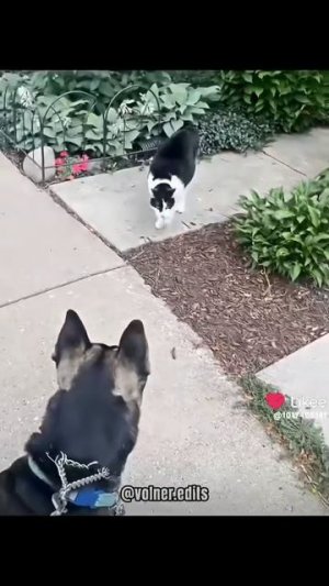 Мать за ребёнка даст по жопе мало не покажется