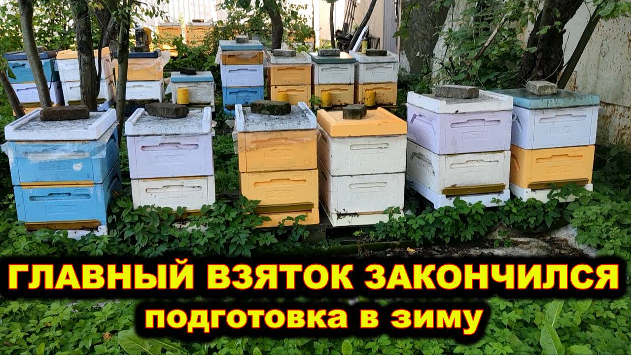 Главный взяток закончился. Готовимся в зиму. смотреть онлайн