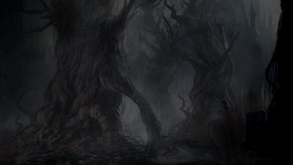 14 - Through the dense forest