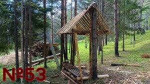 №53 Актуализация хроники. Дровяник. Дом в Тайге. Благоустройство.