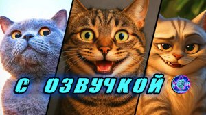 🔥 Приколы с КОТАМИ! - С ОЗВУЧКОЙ! СМЕШНЫЕ КОТЫ! Самые смешные животные! Попробуй не засмеяться!