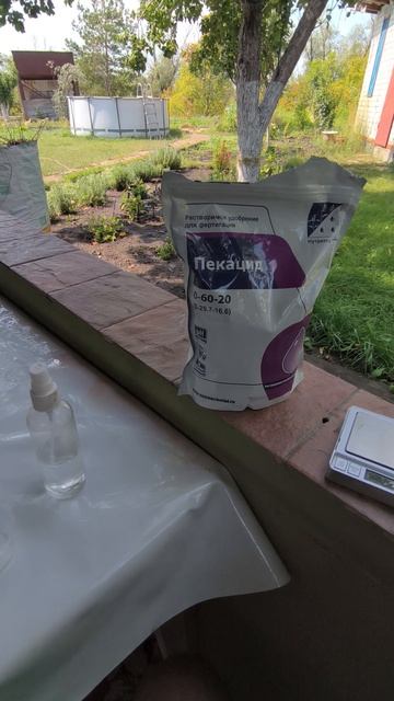 Подготовка хвойных к зиме, чем подкормить? смотреть онлайн