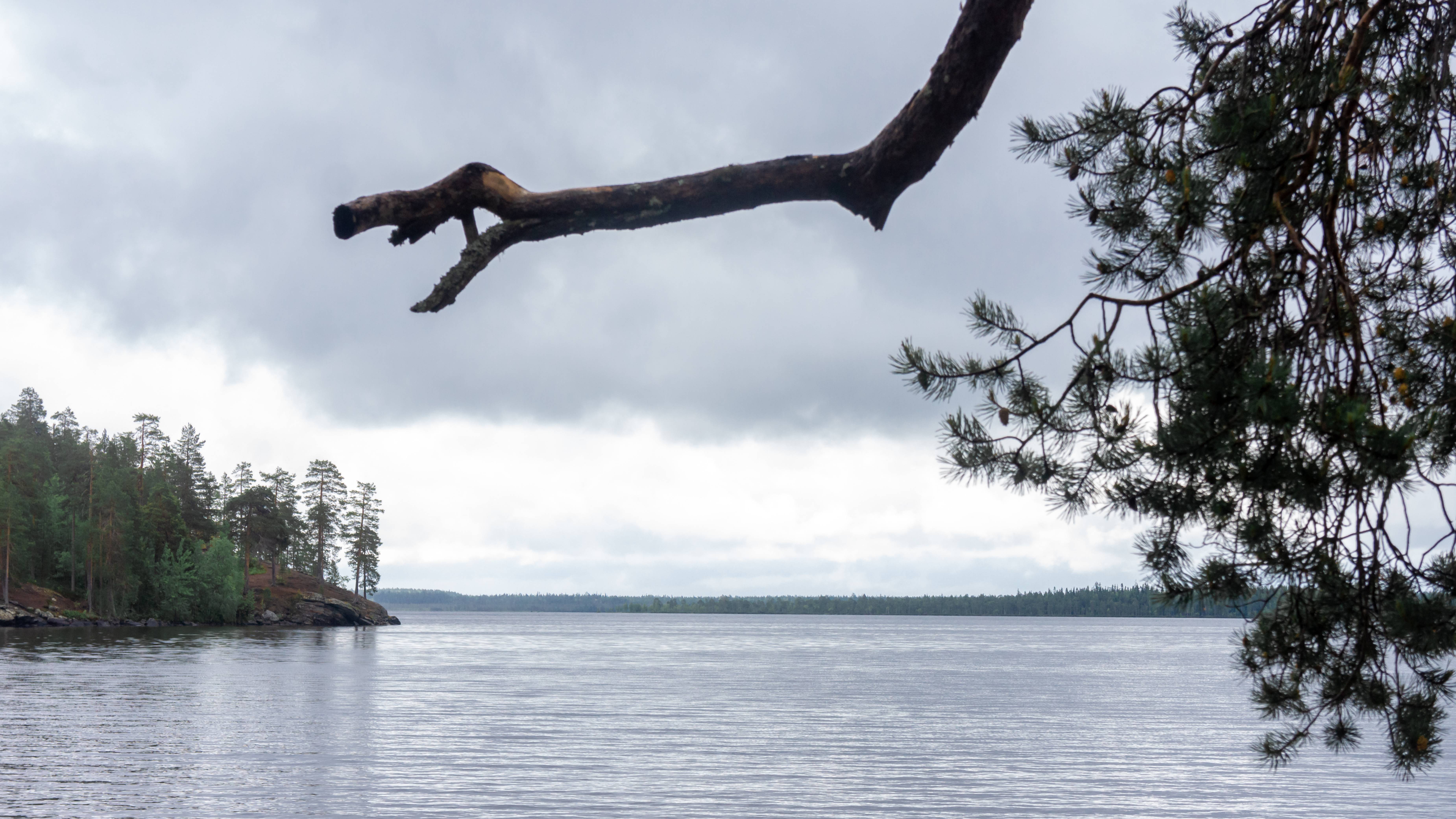 Седьмая заключительная серия. Путешествие на север Лето 2025.