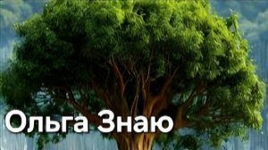 🌳🌾 РОД НА СВЯЗИ 🔥Что от тебя скрыто_ Пришло время раскрыть тайны ⚖️✨