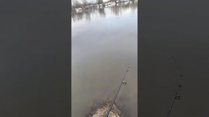 Спининг на уфимке в уфе