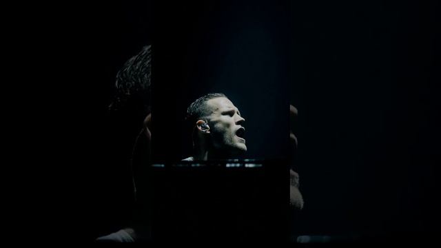 как осёл из Шрека