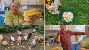 НАКОРМИЛА КУРОЧЕК ЯБЛОКАМИ, ПРИГОТОВИЛА БЛИНЧИКИ ИЗ ЛАВАША С МЯСОМ.