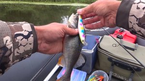 Эта Снасть Всегда Ловит Рыбу! Рыбалка с Лодки на Оке в Августе 2025!