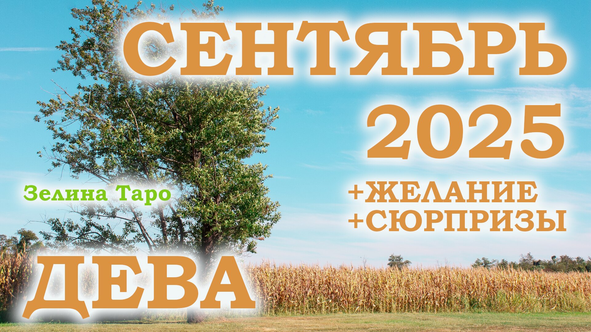 ДЕВА | ТАРО прогноз на СЕНТЯБРЬ 2025 года | Желание | Сюрпризы | Расклад таро