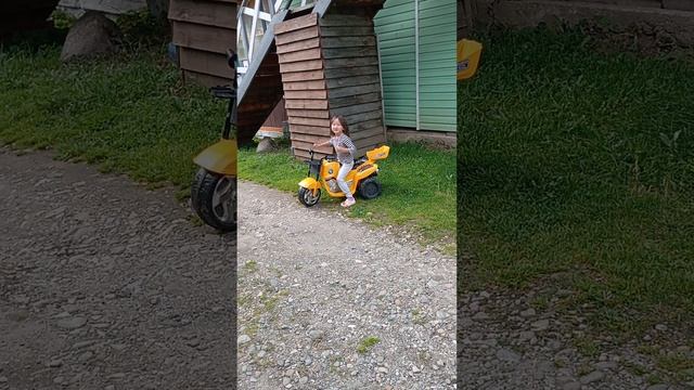 буба и твинкл  стали пчёлами