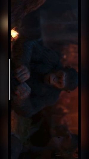 Солнечные будни😎