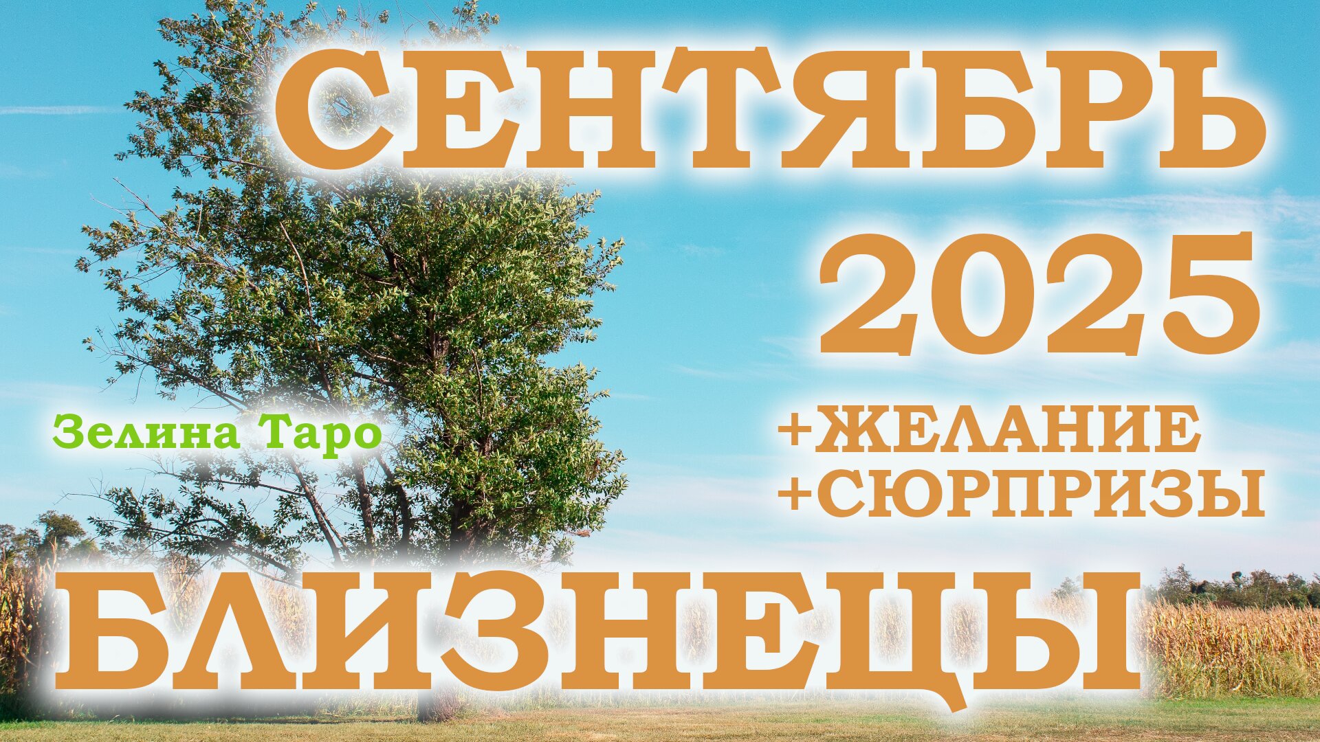 БЛИЗНЕЦЫ | ТАРО прогноз на СЕНТЯБРЬ 2025 года | Желание | Сюрпризы | Расклад таро