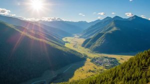 Сборник WAVEGENETICS.RU 25 Август 2025 Матрица Гаряева Программа-№3-⚠️ЧИСТАЯ