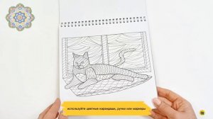 РАСКРАСКА АНТИСТРЕСС «Арт-терапия» КРАСОТА ФАУНЫ
