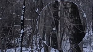 Охота на Изюбря.\\Закрытие сезона охоты.\\Декабрь.