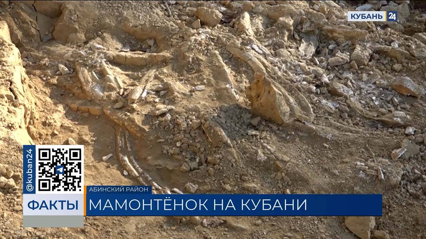 Кубань 24 Эфир