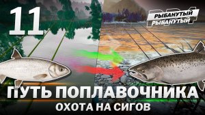ПУТЬ ПОПЛАВОЧНИКА - Охота на СИГОВ. 11 серия. Русская Рыбалка 4