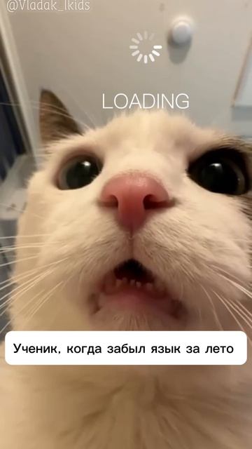 То чувство, когда забыл все за лето 🤣 смотреть онлайн