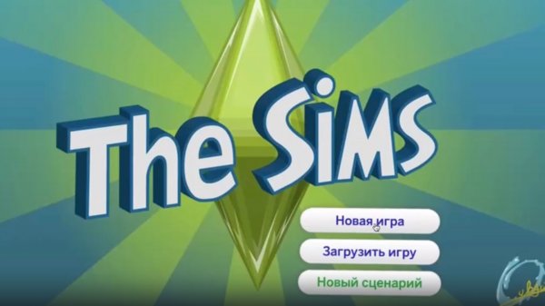 SIMS