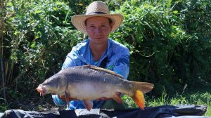 Тут прёт сазан, рыбалка на карпа летом 2025