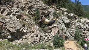 Северная Осетия 2025