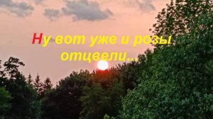 НУ ВОТ УЖЕ И РОЗЫ ОТЦВЕЛИ.. Слова автора канала, соавторство Л.В
