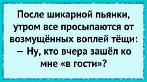 Как тёща криком всех разбудила! анекдоты!