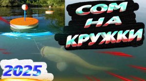 СОМ НА ПОСТАВУШКИ В САРАТОВСКОЙ ОБЛАСТИ 2025 год.