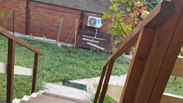 СОЧИ ГОРНОЕ ЛОО УТРО 25.08.2025 смотреть онлайн