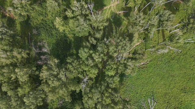 Урочище Подволошное