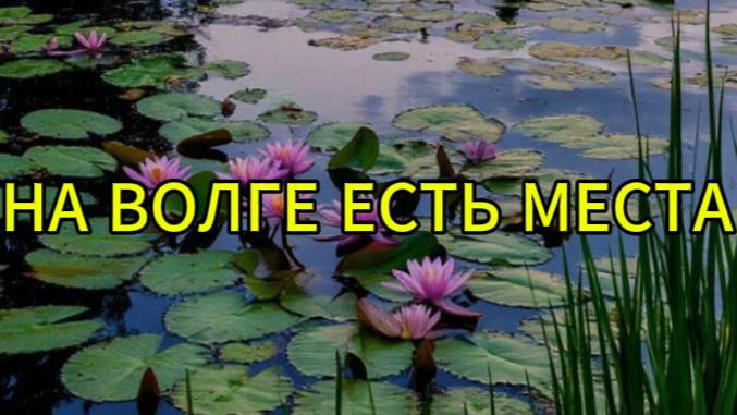 На Волге есть места куда лучше не соваться смотреть онлайн