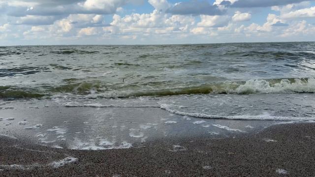 24.08.2025 озеро Песчаное , Алтайский край смотреть онлайн