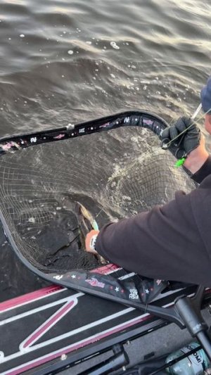 И это ещё не всё😁 #рыбак #судак #лодка #эхолот #мотор #паноптикс #электромотор #рыболовство