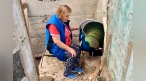 Дверца в курятник