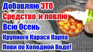 Лови Крупного Карася Карпа Сазана. Рыболовная насадка на карася.