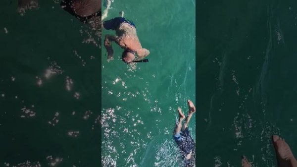 Путешествие в Абхазию 2025 (Familia in Familia)