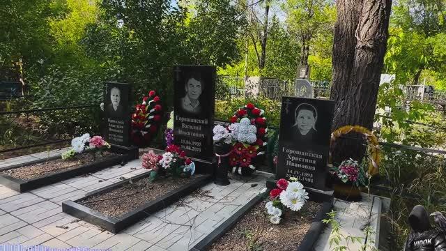 ДВА БРАТА УШЛИ В ОДИН ДЕНЬ НА ТОТ СВЕТ. смотреть онлайн