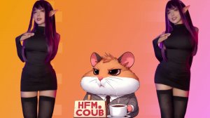 HFM COUB BEST CUBE Coub Приколы 2025 entertainment show, video collection from all over the world