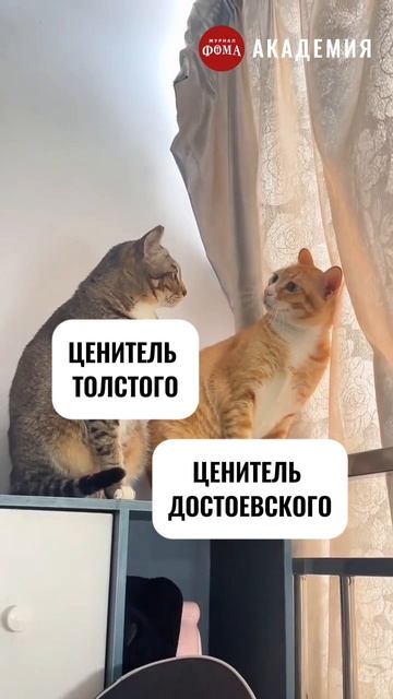 А вы в какой команде? смотреть онлайн