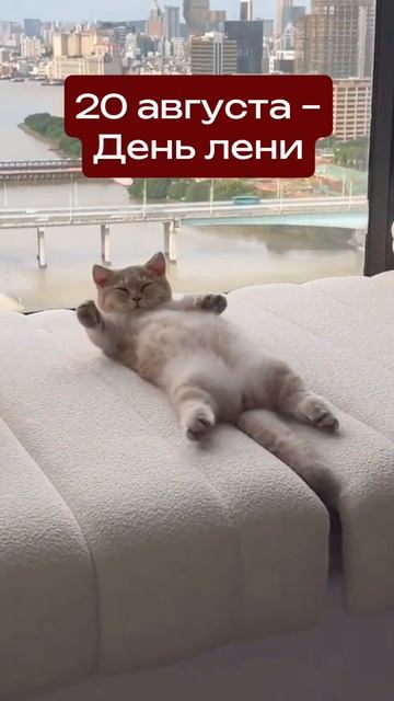 День лени смотреть онлайн