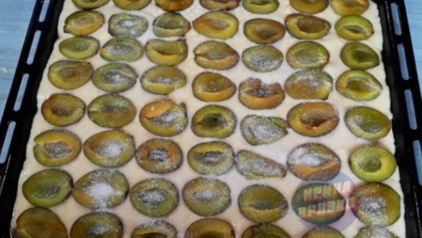 Огородный Эксперт