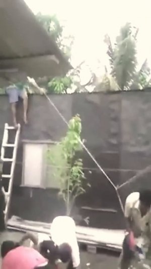 Самые смешные видео приколы - NeverLand