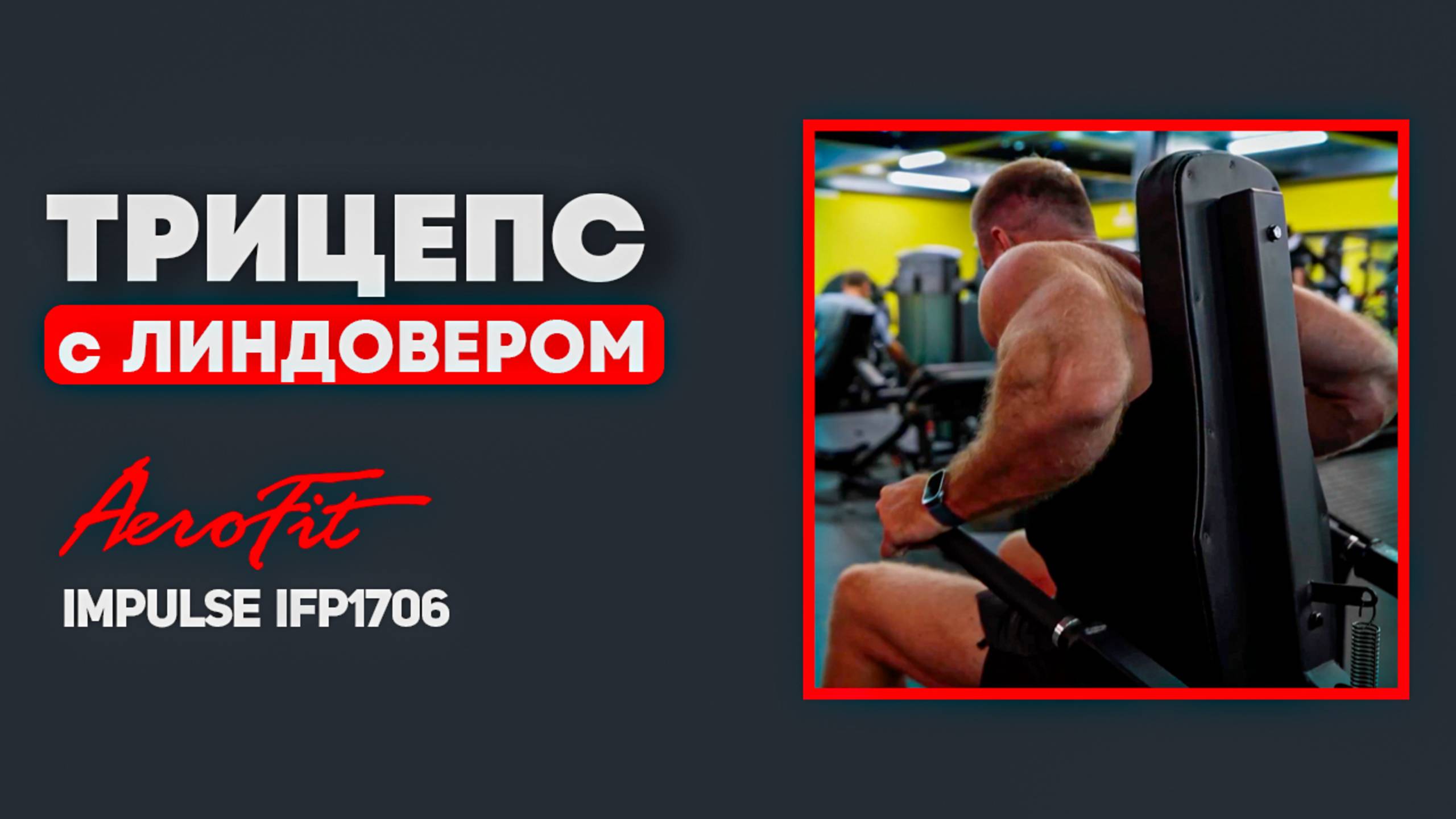 ТРИЦЕПС со Станиславом Линдовером в Тренажере Impulse IFP1706 смотреть онлайн