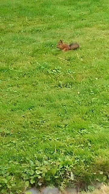 Царицыно. Дворец